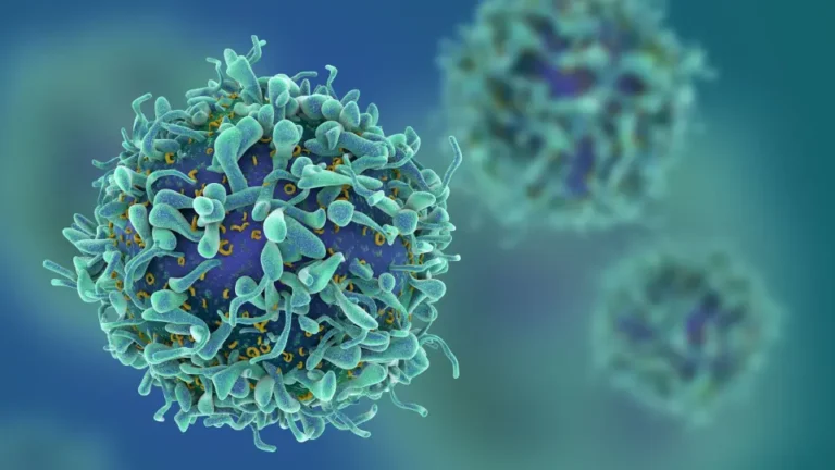immunothérapie